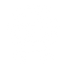 garanti icon